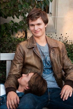 screenshotthefaultinourstars