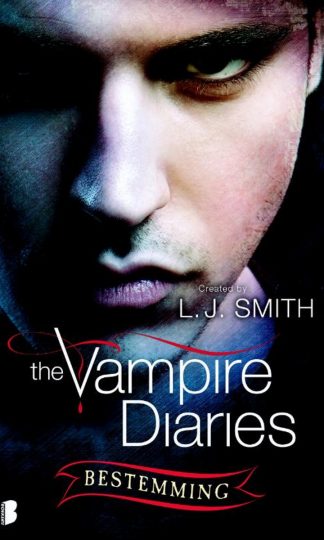 The Vampire Diaries 10 - Bestemming