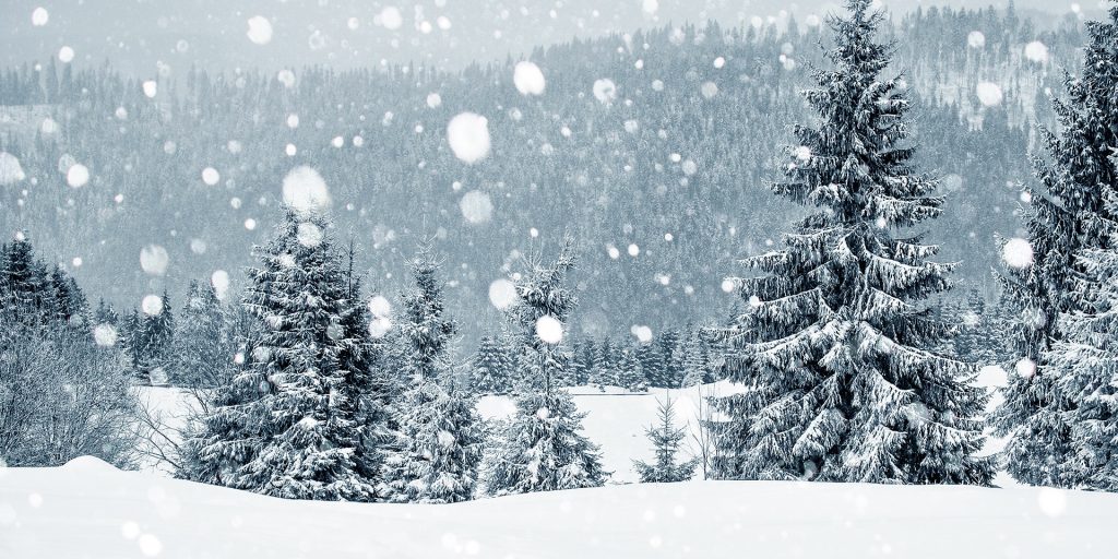 Boeken om deze winter te lezen